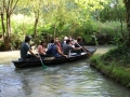 06-marais-poitevin-IMG_2955