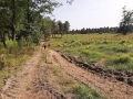 MG_0211-20240822_160317